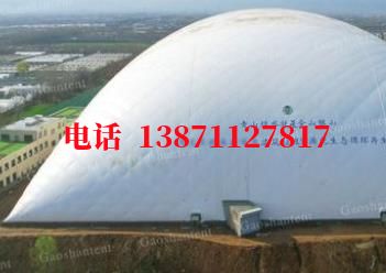 庐阳电动平移门气膜棚卷帘门,电动门